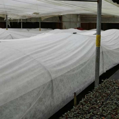 抵抗力がある160gsm農業の非編まれた生地190cmの白い破損