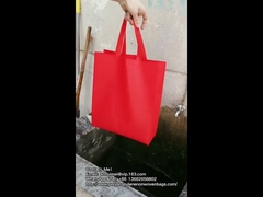 Eco Friendly Promotional Non Woven Shopping Bags 50gsm Green Non Woven Shoe Bag